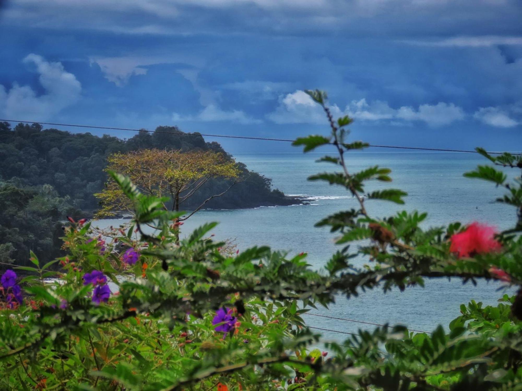 Bella Vista Corcovado Hotel Drakes Bay Kültér fotó