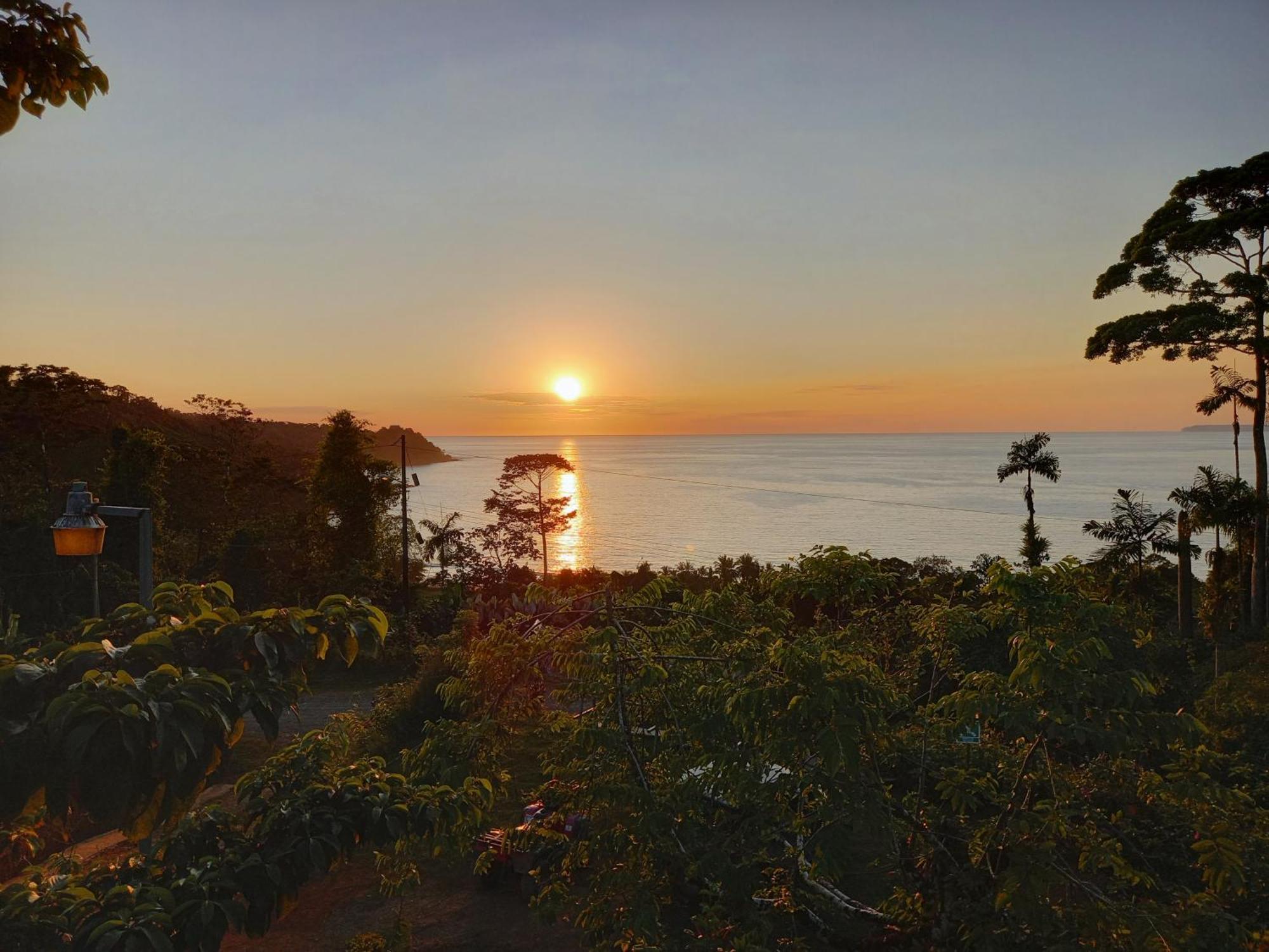 Bella Vista Corcovado Hotel Drakes Bay Kültér fotó